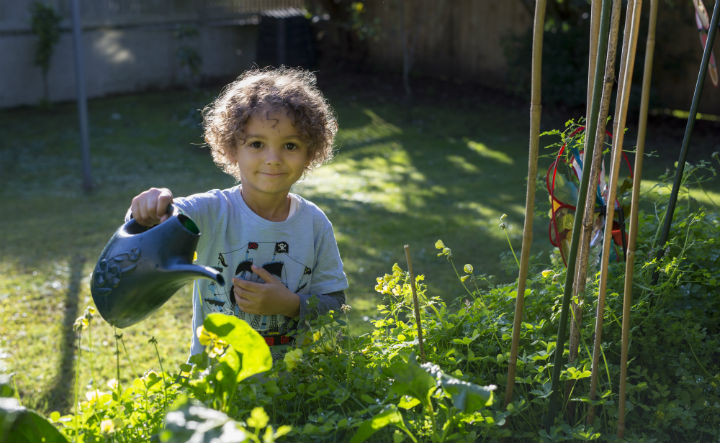 Picture of a boy watering the garden